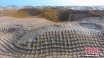 新疆固沙工程　巨网“罩”住塔克拉玛干沙漠 - 林业网