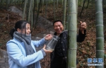 浙江安吉：特色竹产业点亮山乡“绿色经济” - 林业网