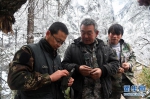 甘肃白水江保护区探秘野生大熊猫 - 林业网