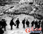 60年前贫瘠荒山变金山银山，只因他们发扬了这种精神 - 林业网