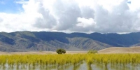 促进生态建设　共护西藏碧水蓝天 - 林业网