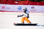 2017年北京市青少年锦标赛高山滑雪比赛圆满收官 - 体育局