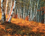 塞罕坝：为全球环保树标杆 - 林业网