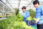 农业部与北京市签署合作协议 共建北京农产品绿色优质安全示范区 - 农业局