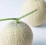 北京市农业技术推广站筛选出四个日本网纹甜瓜优新品种 - 农业局