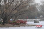 北京今冬初雪或今晚到来 已90天无有效降水 - News.Cntv.Cn