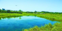 北京市今年再添2200公顷湿地景观 - 林业网