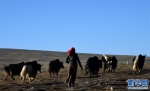 西藏“乞丐村”的小康之路 - News.Cntv.Cn
