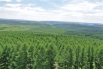 绿化国土再造秀美山川 - 林业网