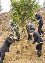 重庆市各地掀起春季义务植树热潮 - 林业网