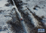 林海雪原中一个人的除夕（图） - 林业网