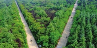 十年“绿”出新河南 - 林业网