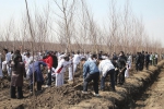 吉林省“森林城市”创建活动纪实 - 林业网