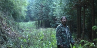 世界森林日特辑：生态护林员的14年坚守 - 林业网