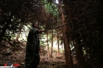 世界森林日特辑：生态护林员的14年坚守 - 林业网