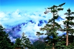 美丽的中国森林（图） - 林业网