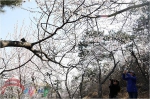 北京市旅游委推出15条“清明红色游”主题线路 - 旅游发展委员会