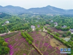 组图：厚植生态文明　耕耘美丽中国 - 林业网