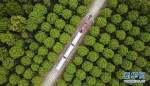 组图：厚植生态文明　耕耘美丽中国 - 林业网