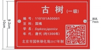 北京摸底古树　扫二维码可查“身份” - 林业网