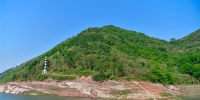 重庆长江岸线生态复绿初见成效 - 林业网