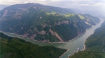 重庆长江岸线生态复绿初见成效 - 林业网