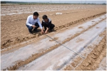 黄河流域（河北）棉花生产全程机械化示范基地进行棉花播种 - 农业机械化信息网