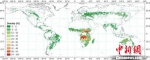 中科院国际首发30米分辨率全球“火烧迹地”分布图 - News.Cntv.Cn
