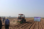 山西玉米免耕精量播种技术试验如期开展 - 农业机械化信息网