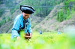 湖南：“精准扶贫”助贫困群众“精准脱贫” - 林业网