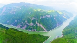 重庆长江岸线生态复绿成效初显 - 林业网