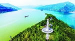 重庆长江岸线生态复绿成效初显 - 林业网