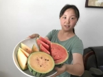 北京市无土栽培彩色西瓜新品种上市 - 农业局