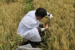 北京市农用地土壤污染状况详查顺利进行 - 农业局
