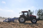 安徽蒙城农机托管作业创现代农机服务新模式 - 农业机械化信息网