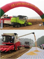 玉米籽粒低破碎机械化收获技术集成示范活动举办 - 农业机械化信息网