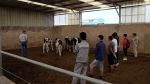 我校主办的牛羊牧繁农育项目”第四期肉牛培训班结课 - 农业大学
