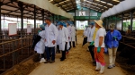 我校承办的 “牛羊牧繁农育项目”第五期肉牛培训班走进陕西杨凌 - 农业大学