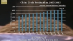 唐丽霞教授做客CGTN讲述中国农业发展成就和经验 - 农业大学