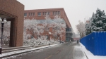 【图片新闻】校园里，那些扫雪的背影 - 农业大学