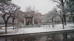 【图片新闻】校园里，那些扫雪的背影 - 农业大学
