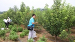 亮点工程 ∣ 涿州教学实验场打造新农科“知行合一”育人体系 - 农业大学