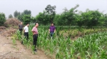 国家玉米全程机械化生产科技创新涿州基地项目围墙工程正式开工建设 - 农业大学