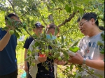 《植物田间技术》课程教学团队用教学可视化保证教学质量 - 农业大学