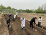 《植物田间技术》课程教学团队用教学可视化保证教学质量 - 农业大学