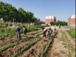 《植物田间技术》课程教学团队用教学可视化保证教学质量 - 农业大学