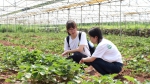 决战决胜脱贫攻坚 | 食品学院师生走进大凉山深处，践行“解民生之多艰”的使命和担当 - 农业大学