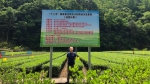 潘灿平教授课题组在纳米硒提升茶树植物健康及缓解农药胁迫和提升茶产品品质方面取得突破性研究成果 - 农业大学