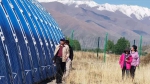“高寒高海拔地区大棚光热与气流环境形成机制及结构优化研究”项目在西藏启动 - 农业大学