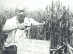 蔡旭院士：“抗棍棒”的小麦人生 - 农业大学